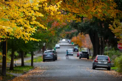 Autumn street scene.