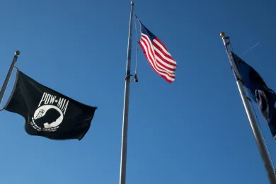 Flags flown on Veterans Day in Gresham, 2018