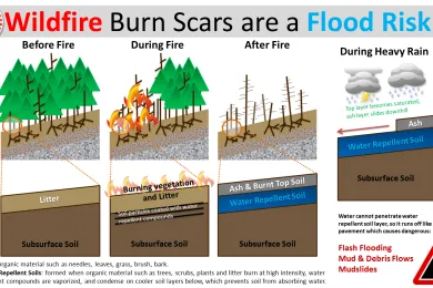 Drawing of a forest before a fire and then after.  Side image showing that flooding is possible when it rains after a forest fire