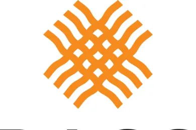 Regional Arts and Culture Council logo