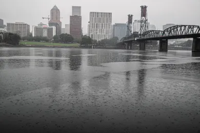 Rain on the Willamette