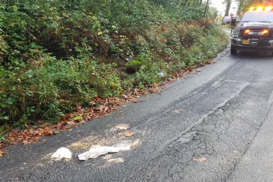 A bag of poop smashed along an east county road in late 2020