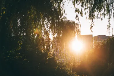 Local Public Safety Coordinating Council hosts meeting on policies, practices, data and investments to reduce gun violence 