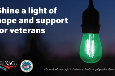 Operation Greenlight Logo