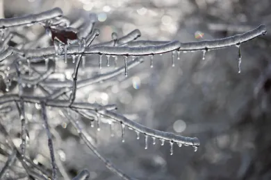 Multnomah County, the City of Portland and their service provider partners will open four severe weather shelters  at 8 p.m. Wednesday, Dec. 21, 2022 that will remain open for as long as conditions require. No one will be turned away.