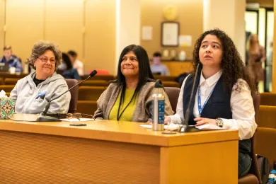 A panel of experts briefing the Board of Commissioners