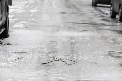 Icy road with tree branch