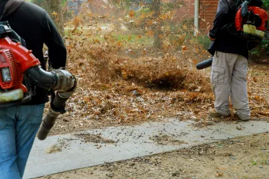 Two people using leaf blowers Autumn leaves on grass