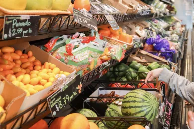 Produce at a grocery store including melons, oranges, bell peppers and kumquats