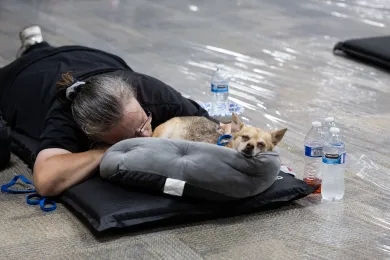 A person lying on a mat on the floor, resting face-down beside a small, sleeping dog resting on a round pet cushion.