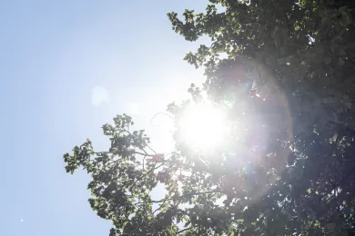 Picture of the sun