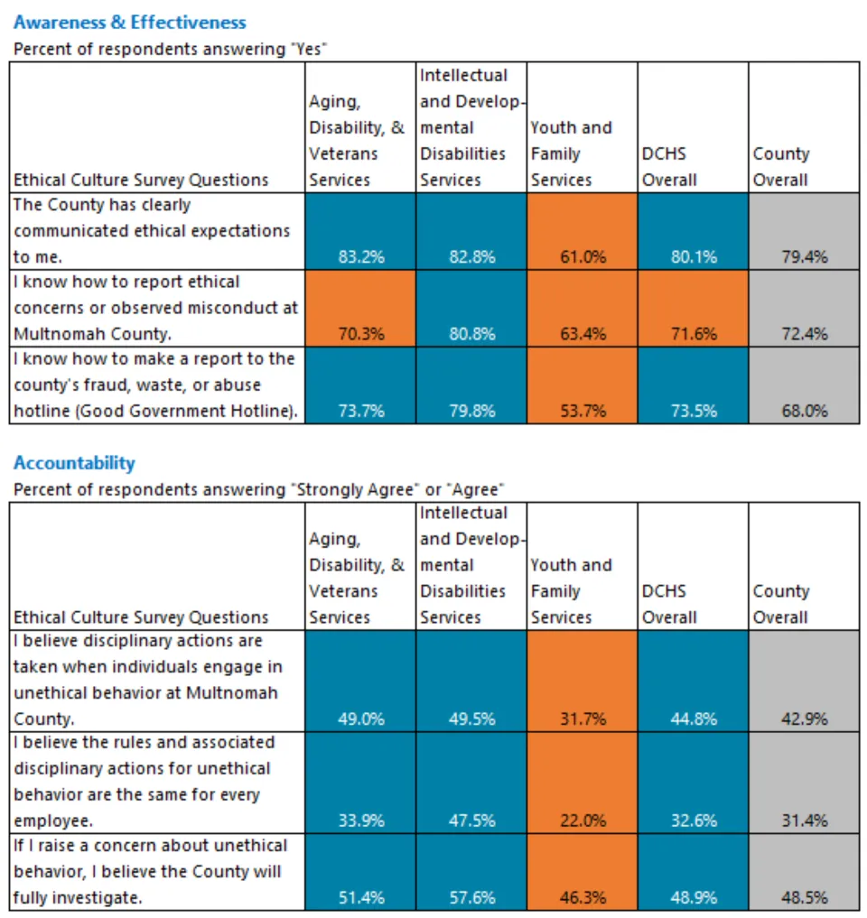 Heat map of Awareness & Accountability survey responses for DCHS divisions.