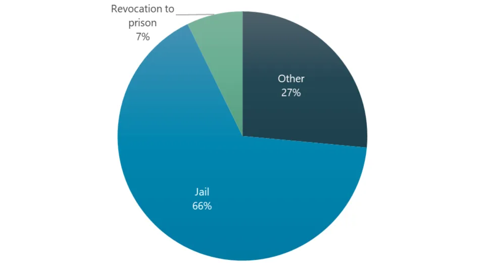 Between 2019 and 2024, 66% of sanctions were jail, 27% were other, 7% were revocation to prison