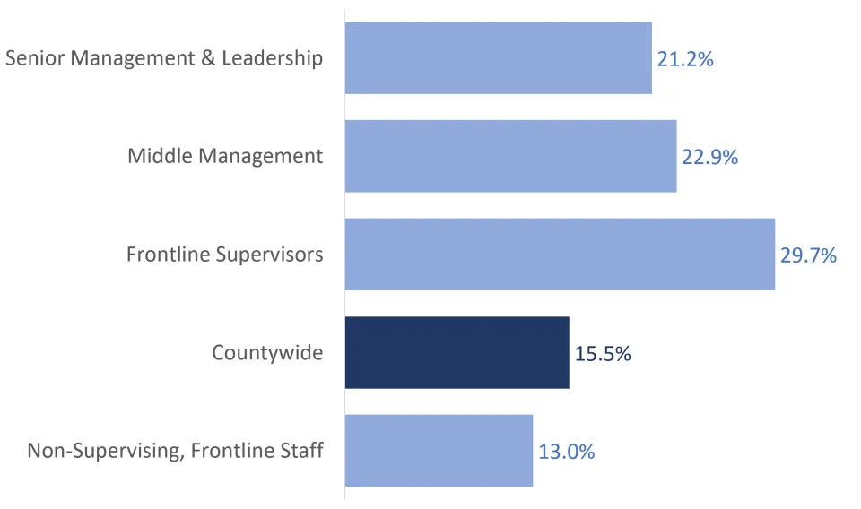 Aggregated promotion rate (FY 2020 - FY 2022) by employee level