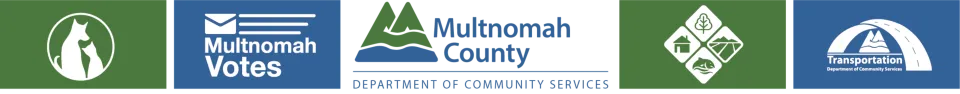 Banner showing logos of DCS and its divisions.