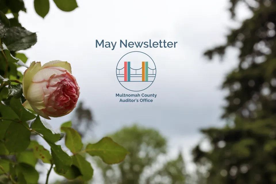 una sola rosa en el Jardín de Rosas de Portland