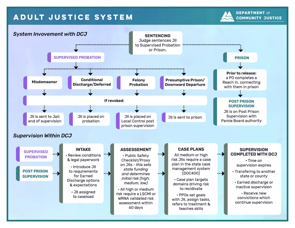 An Adult Services Division client's journey through the supervision process.