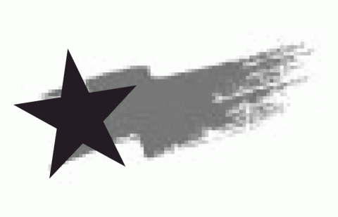 Elections Star