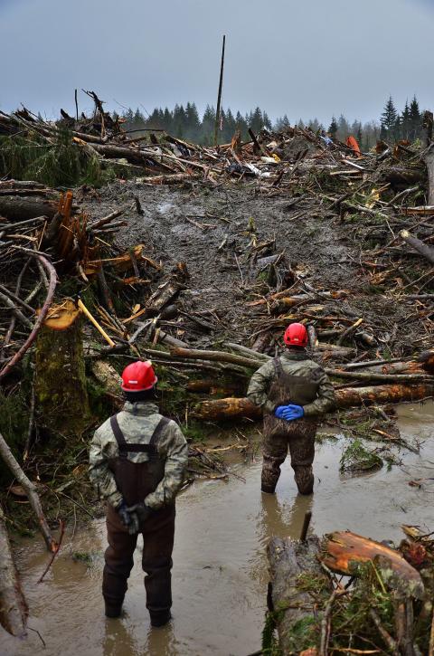 Oso Mudslide