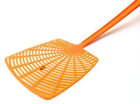 fly swatter