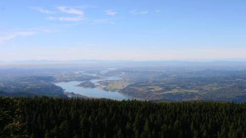 A view of the Columbia River and the Gorge, looking down from the summit of Larch Mountain.