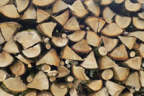 stacked wood