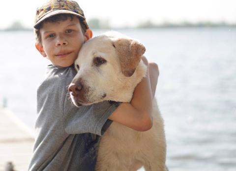 boy hugging dog