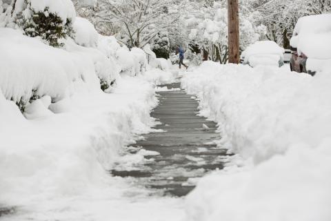 Freshly shoveled sidewalk, with snow piled up on both sides