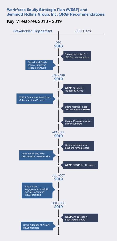 Workforce Equity Strategic Plan and Jemmott Rollins Group Recommendations: Key Milestones 2018-2019