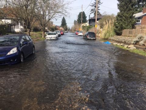 Water flows in North Portland after water main break.