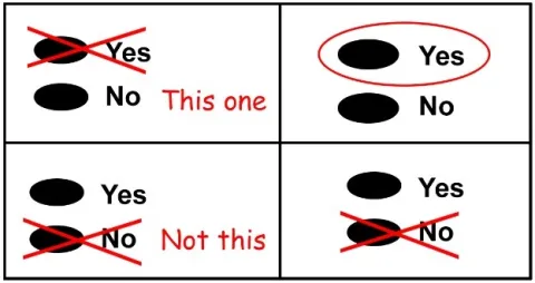 Image that shows how to make your intent clear if you make a mistake on the ballot.
