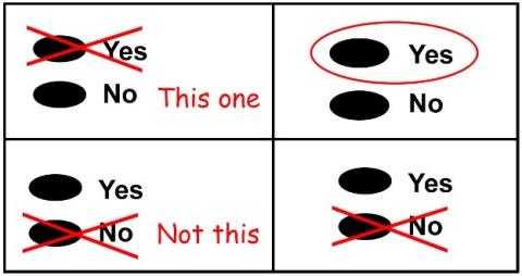 Image that shows how to make your intent clear if you make a mistake on the ballot.