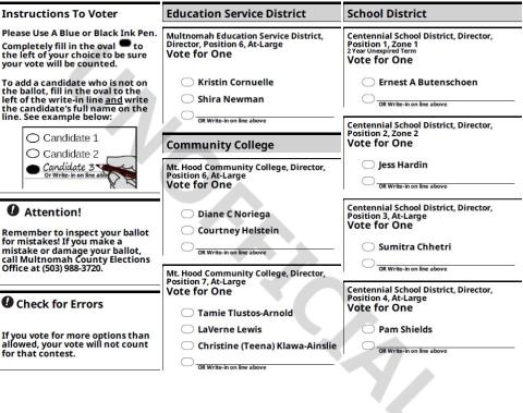 Sample Ballot image