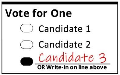 Image that shows an example of how to write in a name on the ballot.
