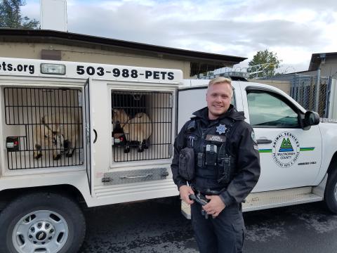 Animal services worker standing in front of an animal service vehicle with goats