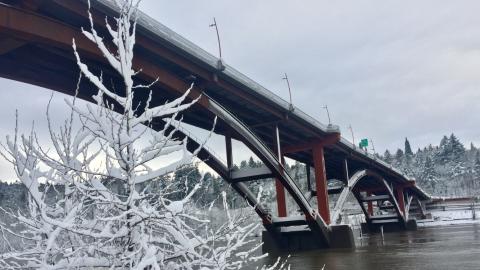 A view of the snow-covered Sellwood Bridge from below, with a snow-covered tree in the foreground.