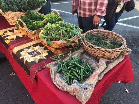 Fresh produce from the CSA program