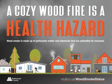 A Cozy Wood Fire is a Health Hazard Poster (English)