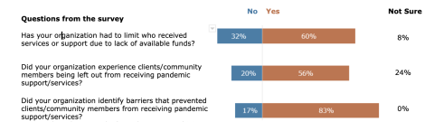 Responses in percentages to survey questions