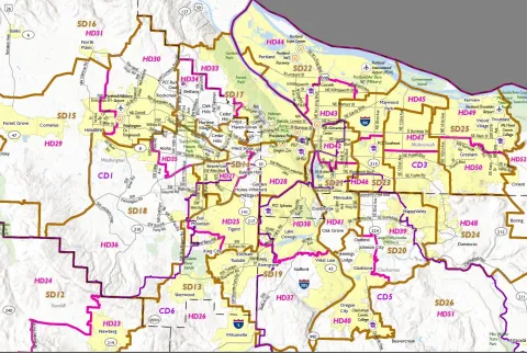 Congressional and Legislative Districts Map