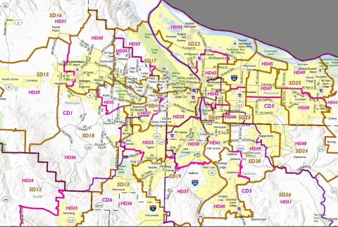 Congressional and Legislative Districts Map