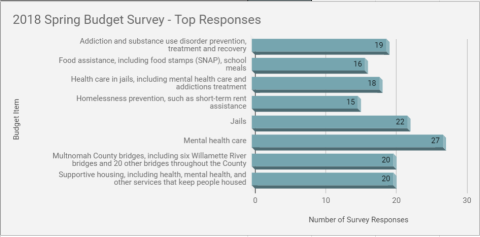 Commissioner Meieran Budget Survey 2018 Results 2