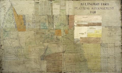 A map showing how crops, gardens, and animal enclosures were arranged at the Multnomah County Poor Farm in 1938. Includes outlines of buildings and structures. 