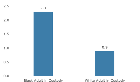 Minor uses of force were infrequent, but Black adults in custody were more than twice as likely to be subjected to them