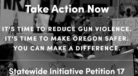 Image about Initiative Petition 17 to support gun control