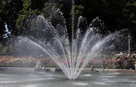 People and dogs splash in a fountain at Peninsula Park in June, 2022.