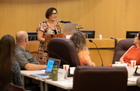 A woman stands at a podium with a laptop in front of her, addressing a group of people at a conference table.