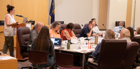 A woman stands, addressing a group of people working at a conference table.