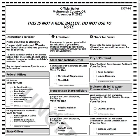 Image of a sample ballot for the November 2022 General Election.
