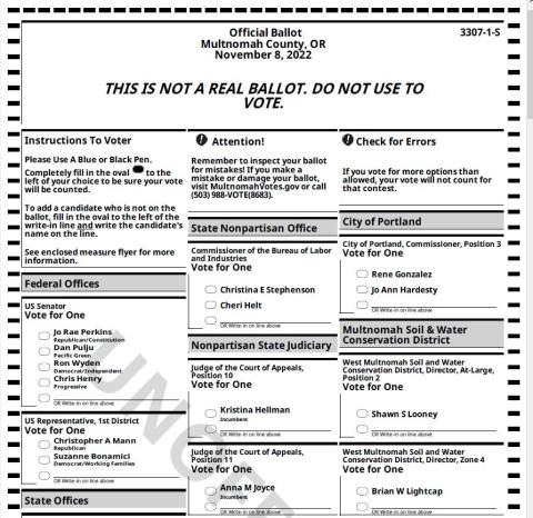 Image of a sample ballot for the November 2022 General Election.